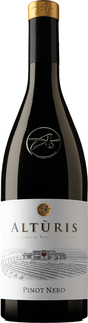 Venezia Giulia IGP Pinot Nero