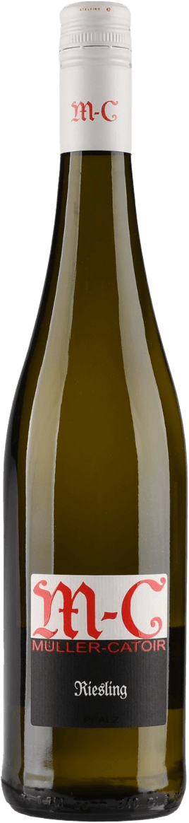 Pfalz Riesling BIO