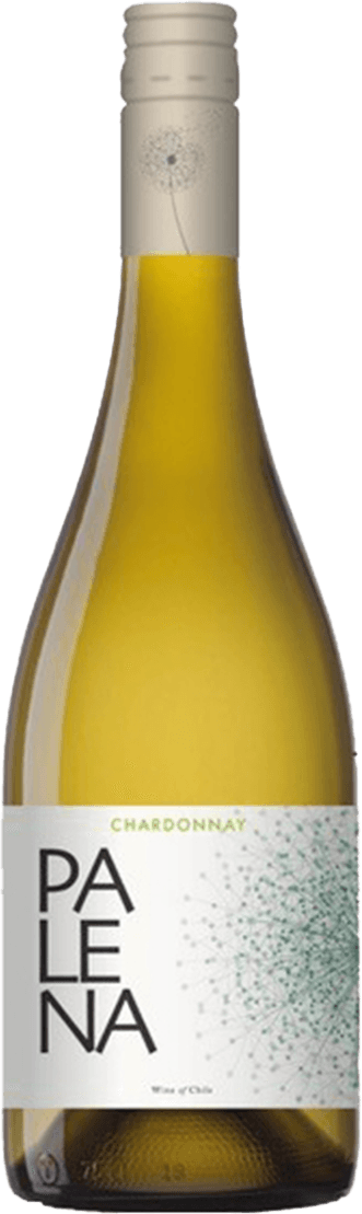 Maipo Valley Chardonnay