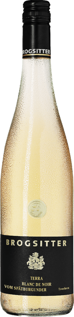 Rheinhessen Terra Blanc Spätburgunder Blanc de Noir