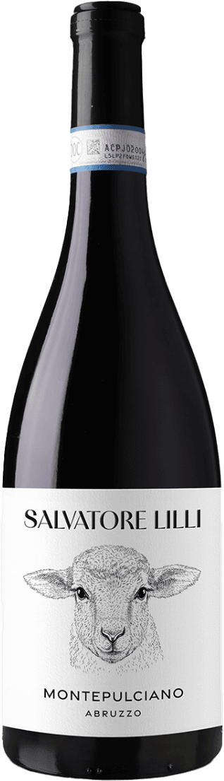Montepulciano d'Abruzzo DOC 2023