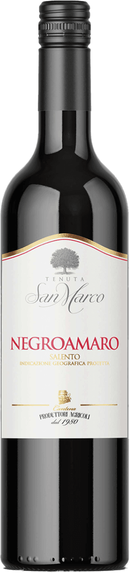 Salento IGP Negroamaro 2022
