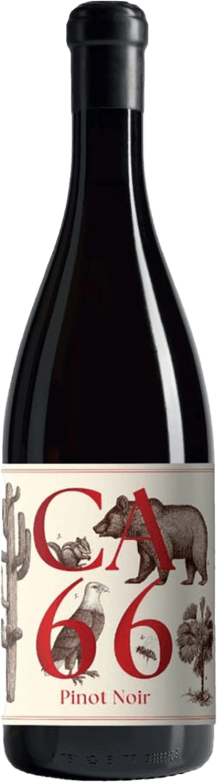 Südsteiermark DAC CA 66, Pinot Noir 2023 Het label toont grote rode letters en cijfers ('CA 66'), met daar omheen gedetailleerde zwart-wit illustraties van dieren (zoals een beer, vogel, vos), een cactus en bomen. Het ontwerp combineert natuur- en diermotieven met opvallende typografie.